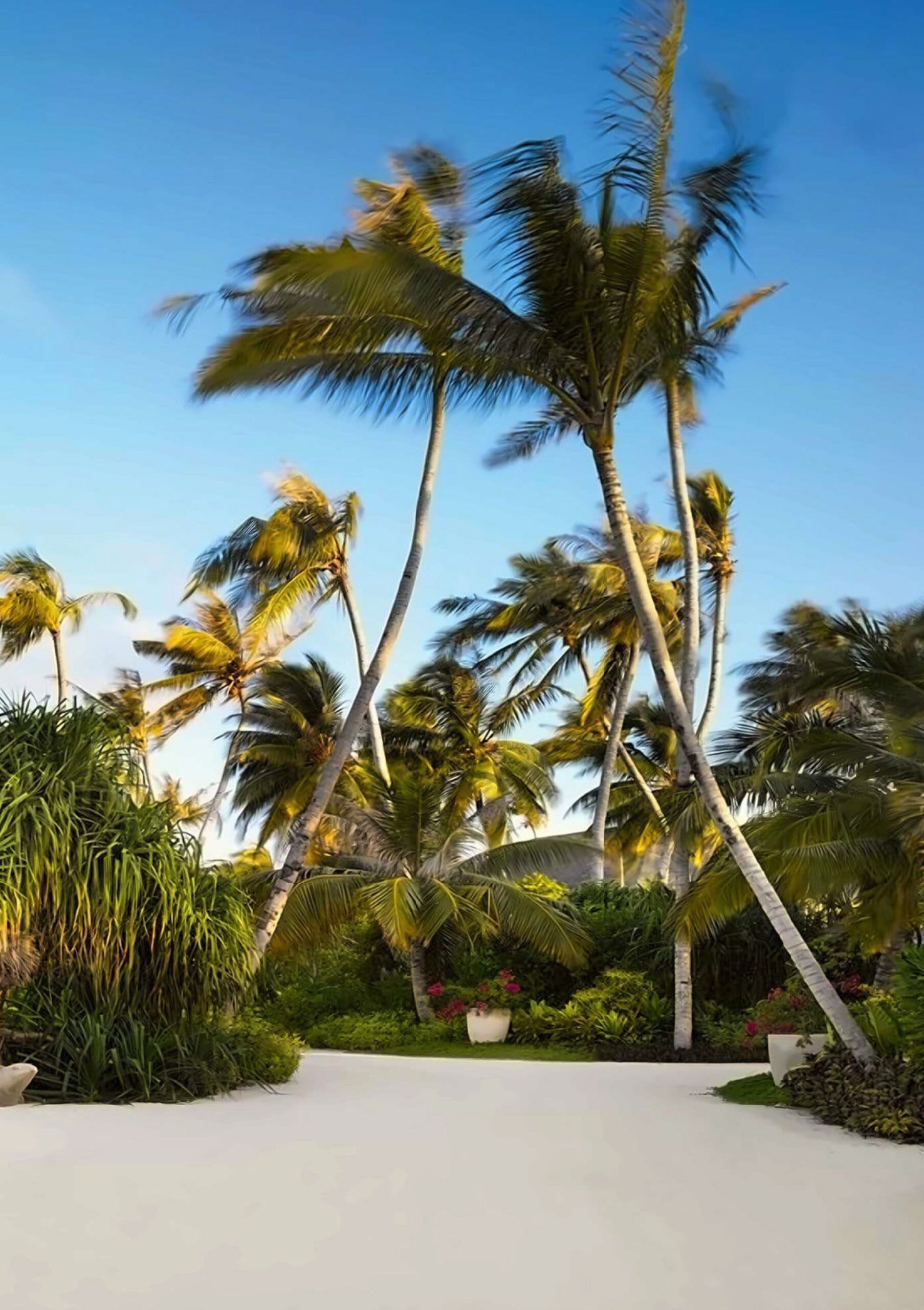 Velaa private island, Maldives