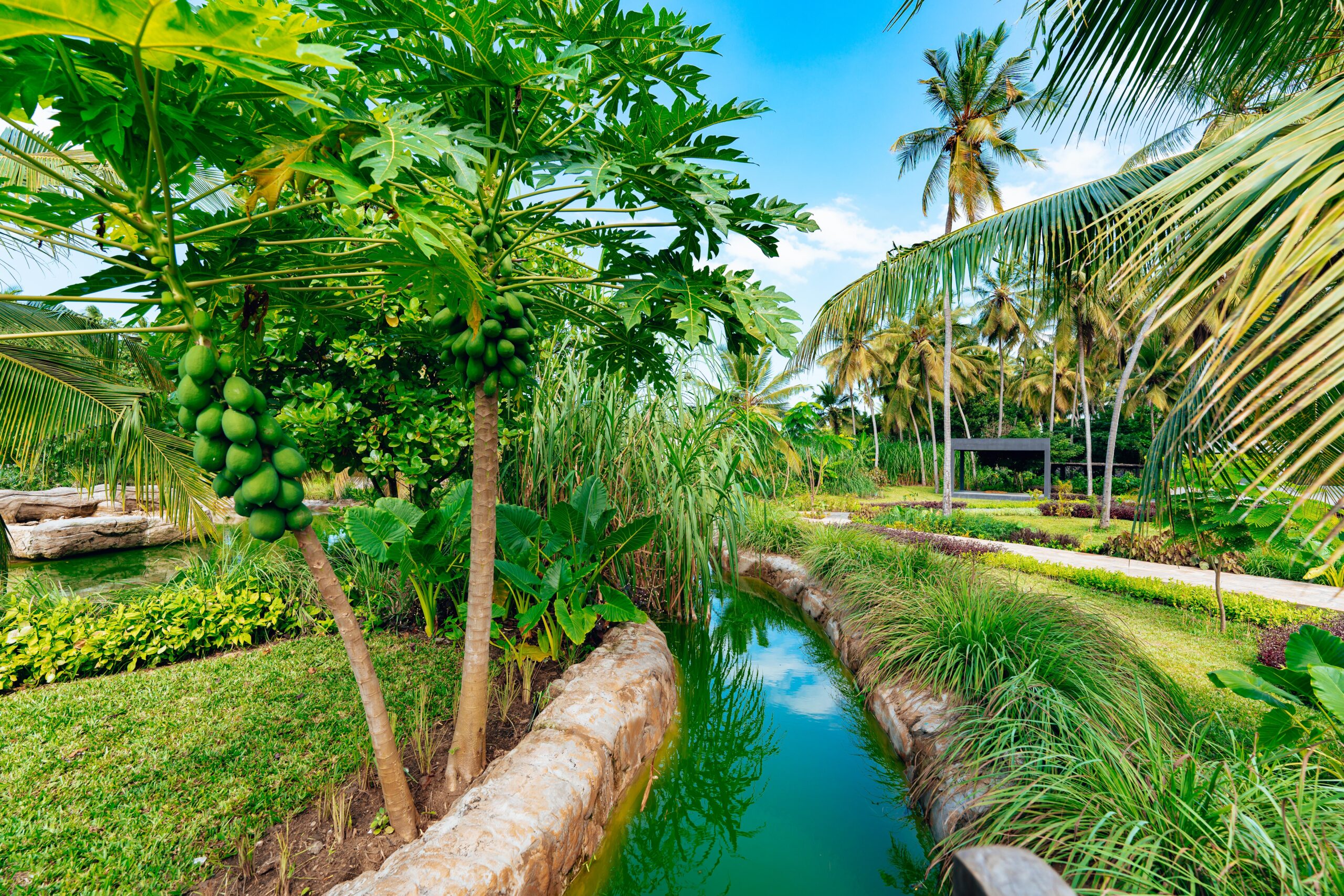 Ycona luxury resorts, Zanzibar